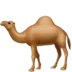 Camelă