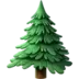Evergreen Tree
