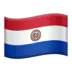 Vlag Van Paraguay