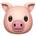 सूअर का चेहरा