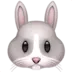 ウサギの顔