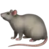 Råtta