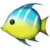 Tropisk Fisk