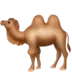 Camelo com duas bossas
