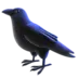 Черная птица