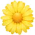 Floare