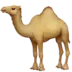 Camelă