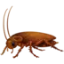 Kakkerlak