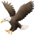 Vultur
