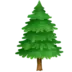 Arbore Conifer