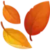Опавшая листва