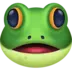 青蛙脸