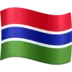 Steagul Gambiei