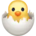Kurczaczek Wykluwający Się Z Jajka