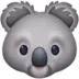 कोआला का चेहरा