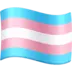 ट्रांसजेंडर झंडा
