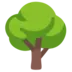 Puu