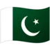 Vlag Van Pakistan
