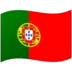 포르투갈 깃발
