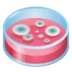 Petri Dish