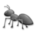 चींटी
