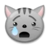 रोती हुई बिल्ली का चेहरा