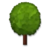 Δέντρο