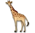 Giraff