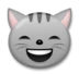 बनावटी हँसी वाला बिल्ली का चेहरा