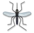 Κουνούπι