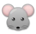 ネズミの顔