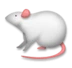 Ποντίκι