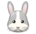 ख़रगोश का चेहरा