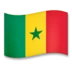 Vlag Van Senegal