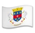 Flag: St. Barthélemy