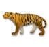 Τίγρης