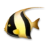 Τροπικό Ψάρι