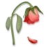 मुरझाया गुलाब