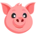 돼지 얼굴
