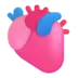 Anatomiskt Hjärta