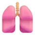 Keuhkot