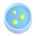 Boîte de Petri
