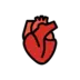 해부학 심장