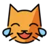 ख़ुशी के आँसू वाला बिल्ली का चेहरा