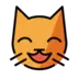 Muso di gatto sorridente