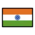 인도 깃발