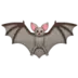 Νυχτερίδα