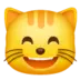 Tête de chat avec large sourire