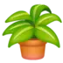 Plante en pot