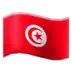 튀니지 깃발